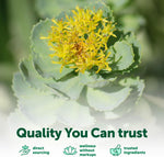 Micro Ingredients Rhodiola Rosea bottle cap and safety seal