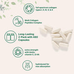 Micro Ingredients Hydrolyzed Collagen Peptides ingredient highlights