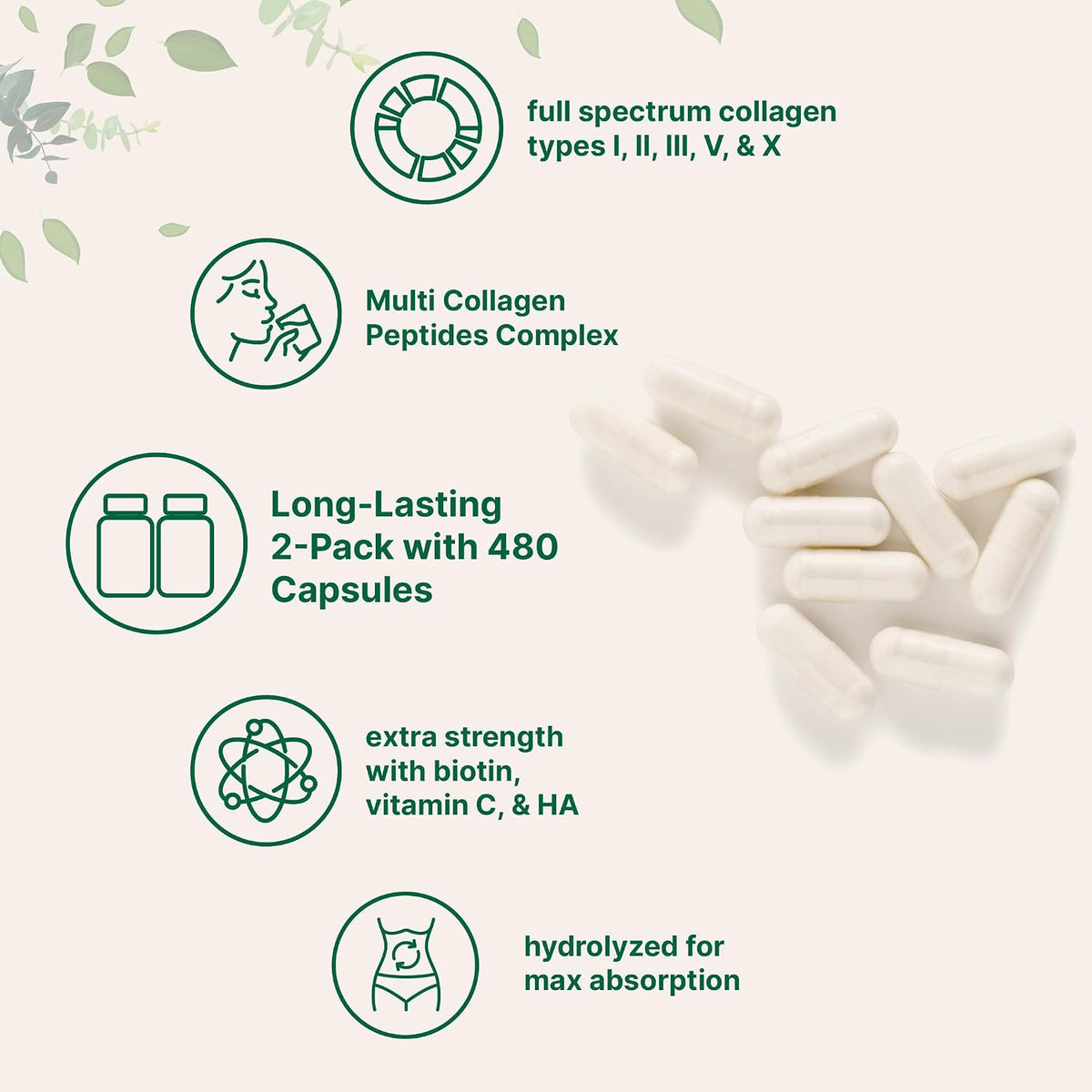 Micro Ingredients Hydrolyzed Collagen Peptides ingredient highlights