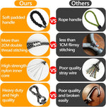 NTR static climbing rope pet tether being used for dog recall training outdoors