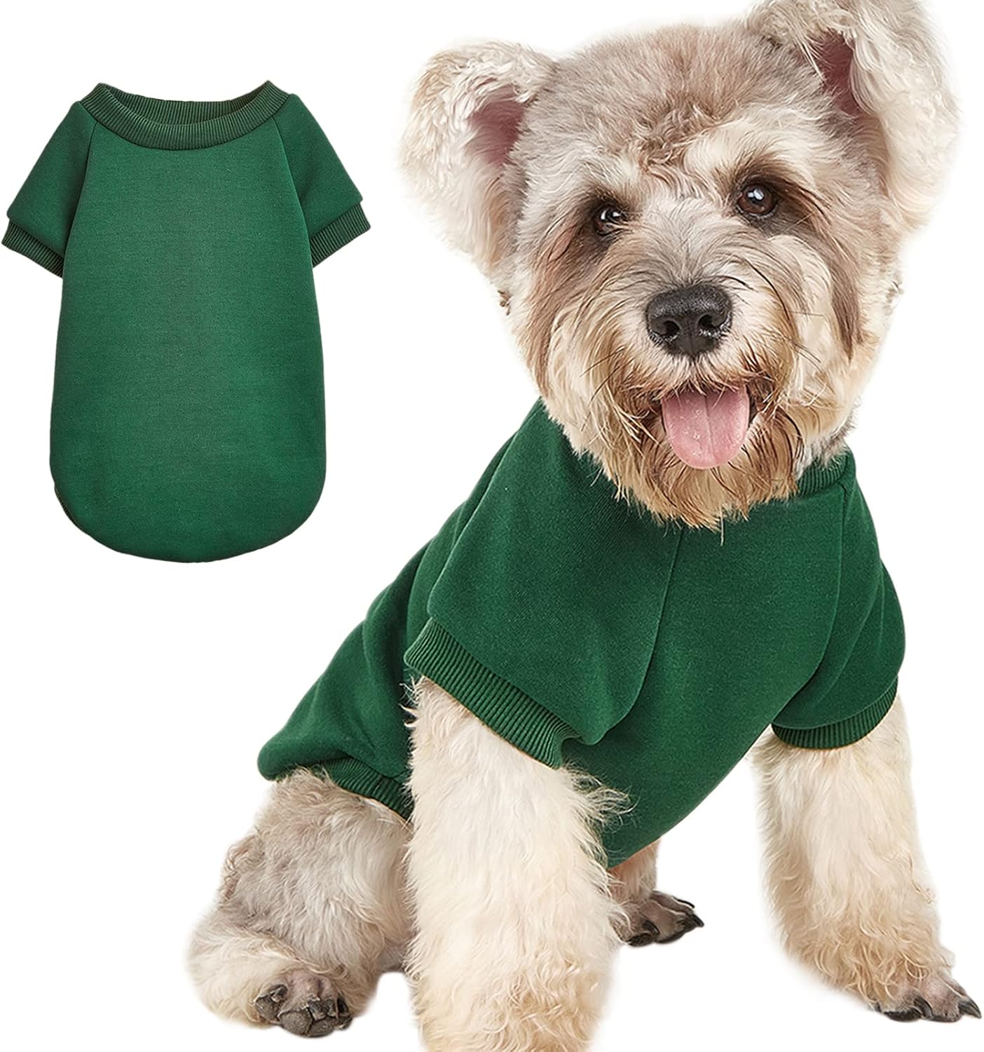 Jouhoi puppy sweater for small dogs green medium front view winter pet apparel