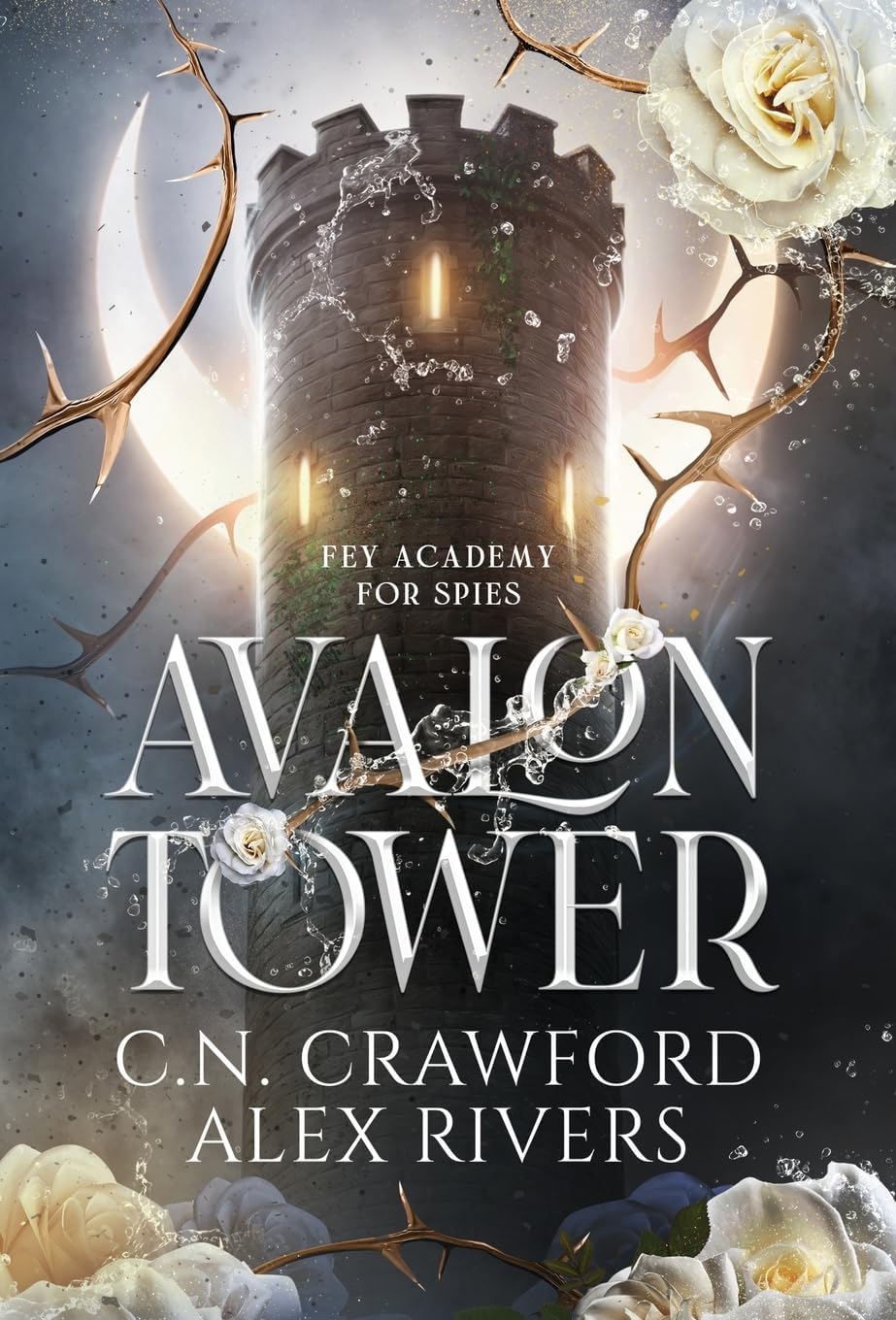 C N Crawford Avalon Tower hardcover book front view fantasy novel
