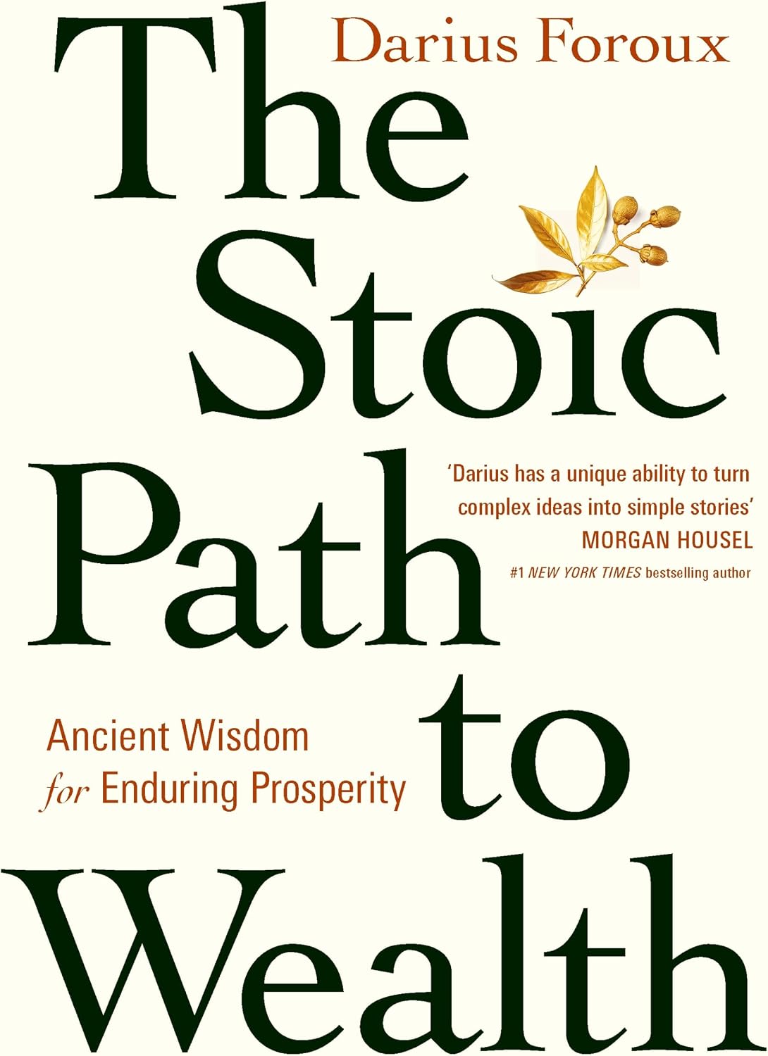 Darius Foroux The Stoic Path To Wealth paperback front view cover book