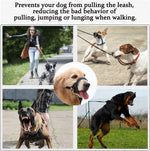 Barkless dog training harness with reflective stitching