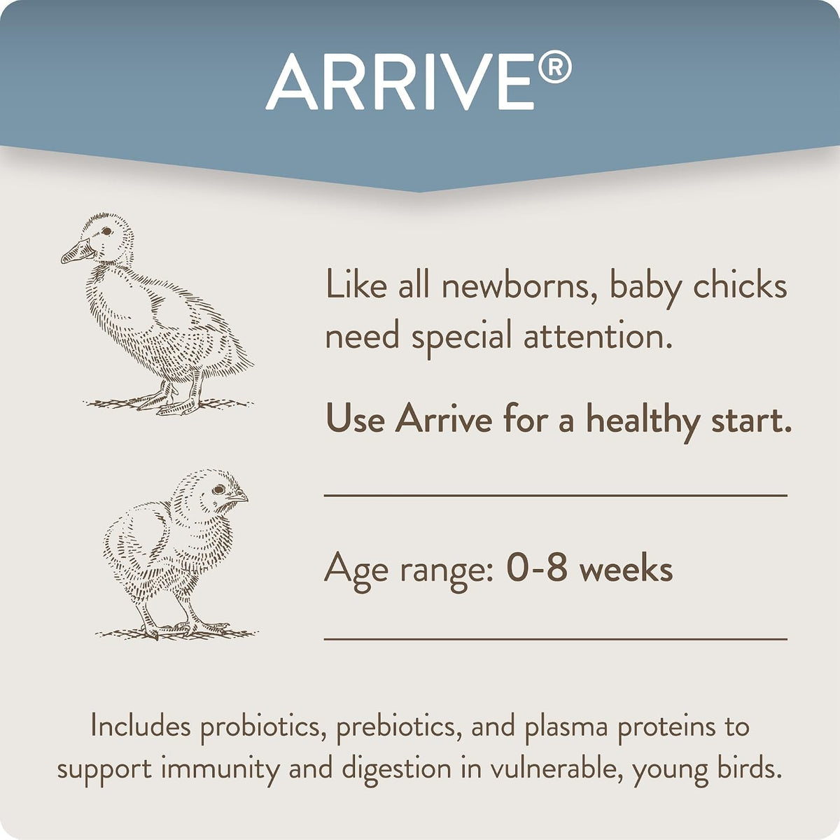 FlockLeader Arrive prebiotics and probiotics packaging showing dosage directions per gallon of water