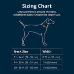 Close up of Ruffwear dog collar aluminum V-ring attachment
