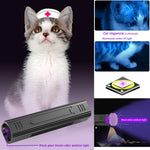 Denlydom portable 365nm ultraviolet flashlight illuminating a pet cat for ringworm screening.