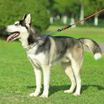CBBPET stainless steel pinch collar opened up to demonstrate the quick release locking mechanism