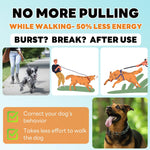Supet adjustable dog collar packed with extra links