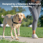 PetSafe Easy Walk harness side profile showing martingale loop
