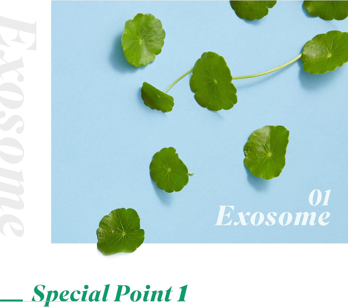 Neogen Dermalogy High G Exosome mask set of 5