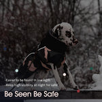 Rear view of dog coat showing reflective strip and leash hole