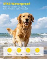 Night LED light mode active on Heaflex pet training collar