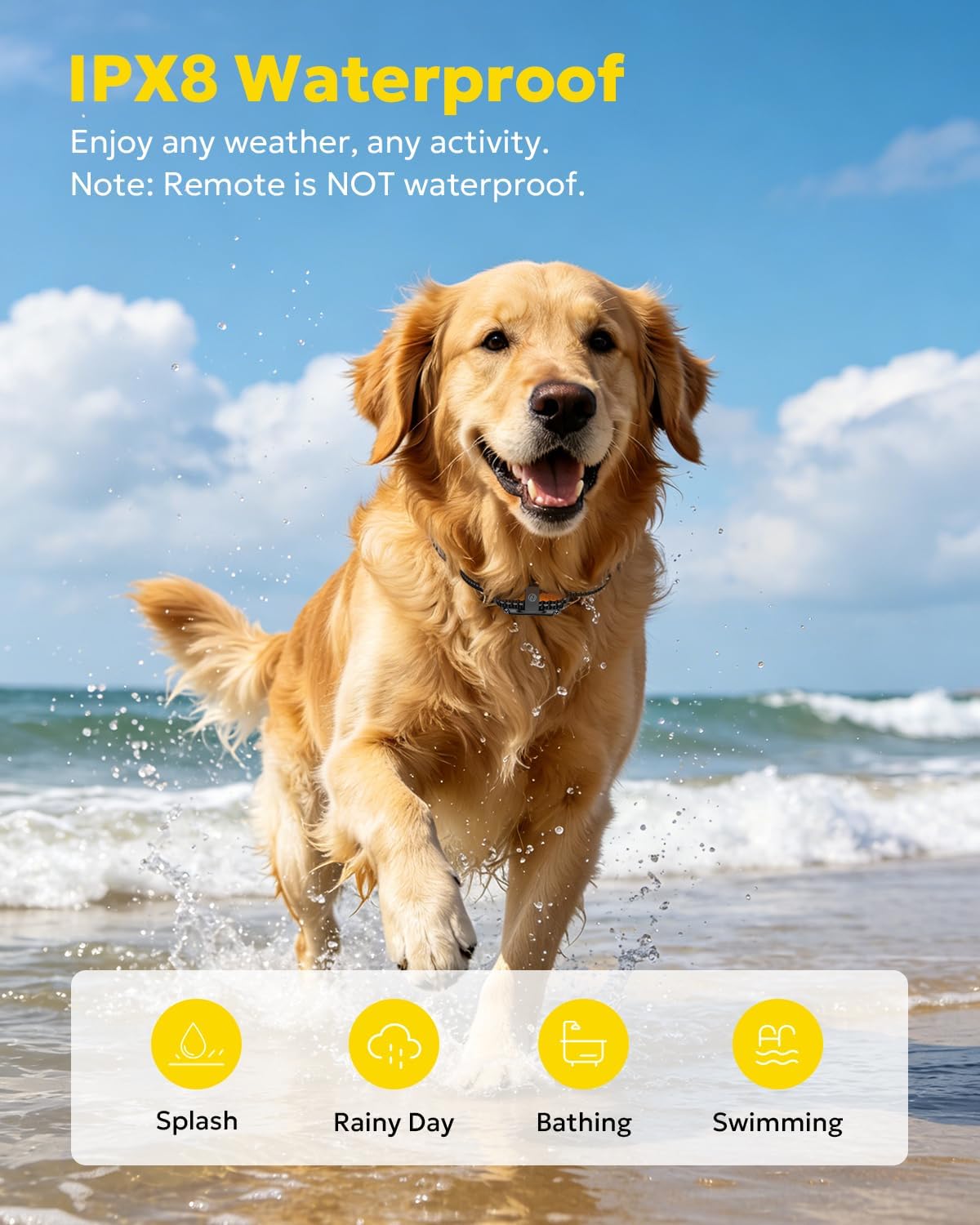 Night LED light mode active on Heaflex pet training collar