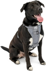 Kurgo Tru-Fit Smart Dog Walking Harness - Comfortable Fit - Adjustable Harness - Reflective Pet Wear - Quick Strap Release - Daily Walk Accessory - Includes Seat Belt Loop - Black - Large - Image 13
