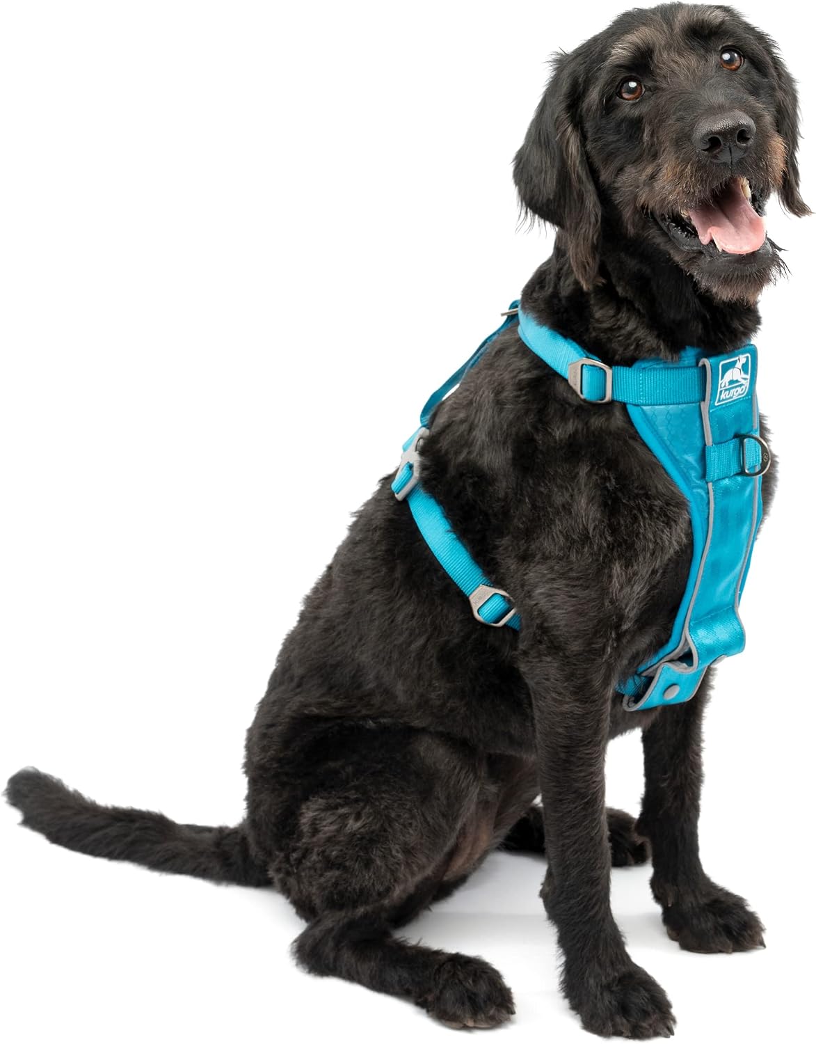 Kurgo dog harness with seat belt tether attached