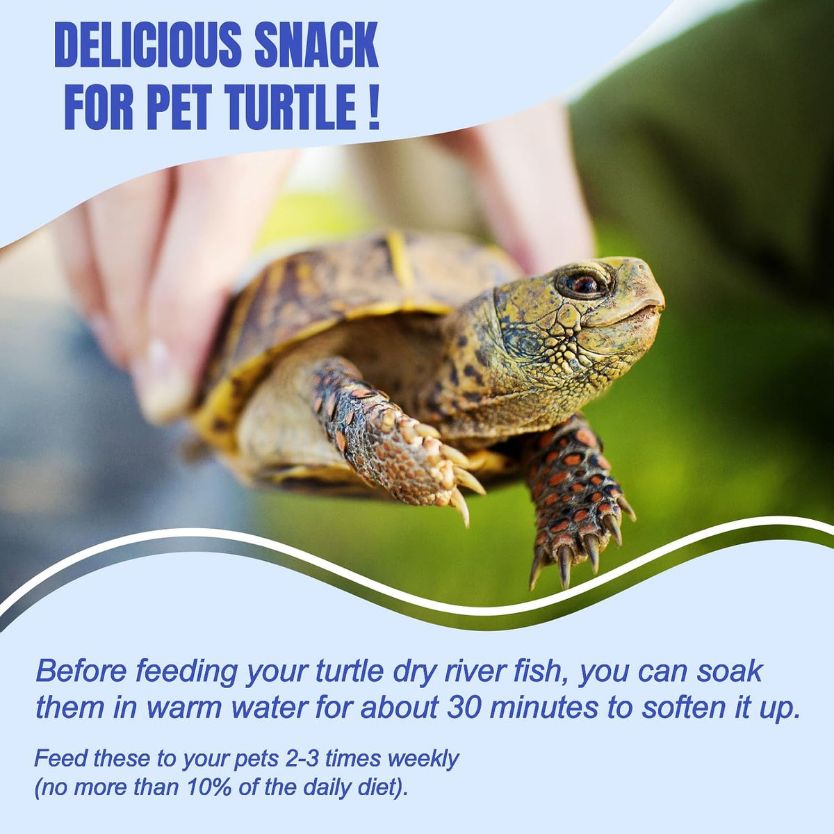 Authentic imported Amzey natural pet food jar for carnivorous reptiles.