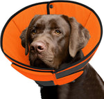 Premium imported soft dog cone packaging and detailed size chart