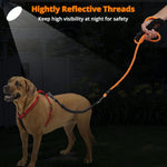 Jenico nylon rope leash for large dogs