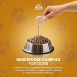 Third party tested non GMO mushroom powder for senior dog cognitive alertness.