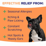 GoodGrowlies anti itch skin and coat supplement soft chews