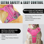 Close up of breathable mesh and anti-chafe padding on Barkbay harness