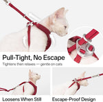 Hands free cat rope leash being used in crossbody style