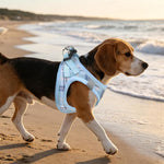 PUPTECK Adjustable Dog Harness Collar and Leash Set Step in No Pull Pet Harness for Small Medium Dogs Puppy and Cats Outdoor Walking Running, Soft Mesh Padded Reflective Vest Harnesses, Blue L - Image 9
