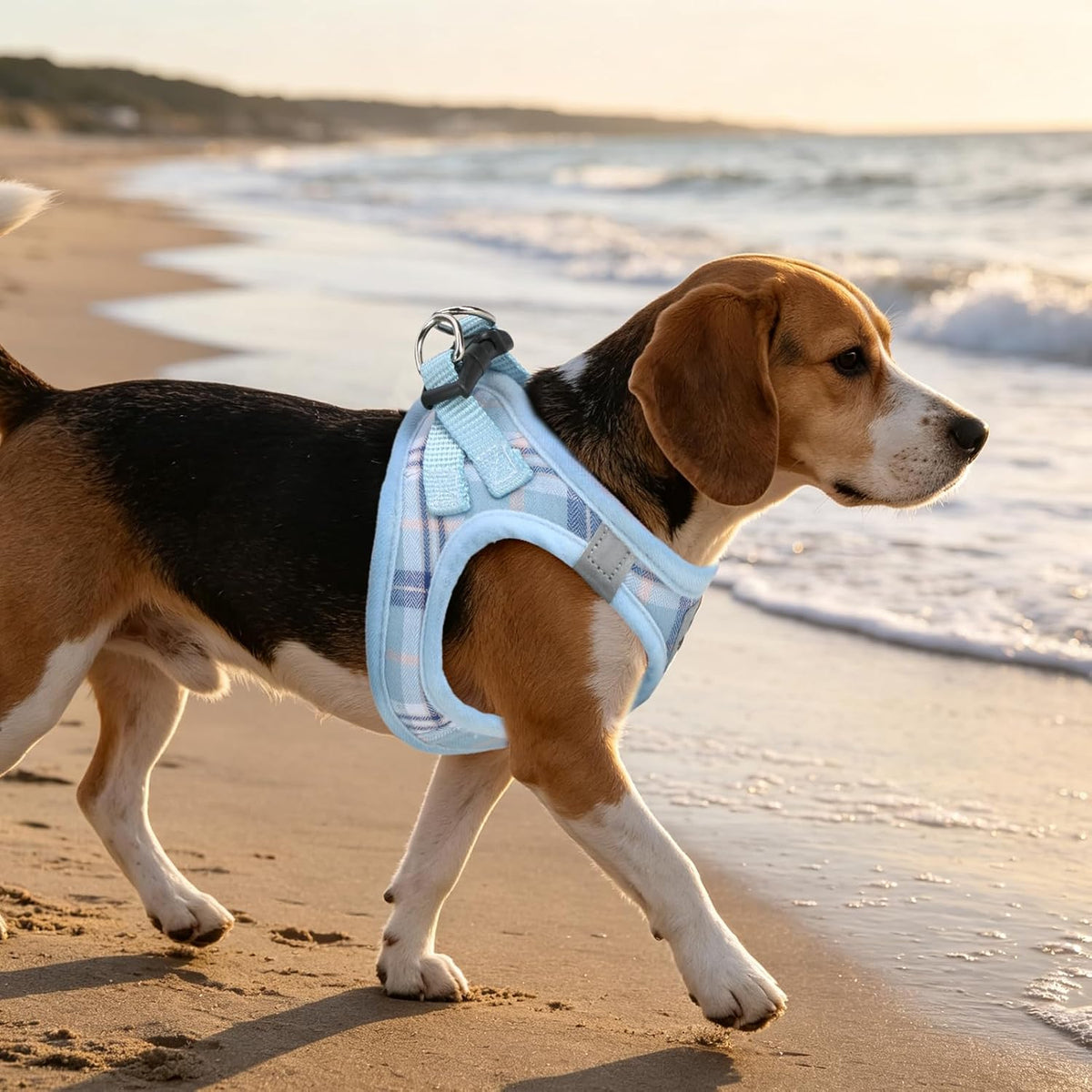 PUPTECK Adjustable Dog Harness Collar and Leash Set Step in No Pull Pet Harness for Small Medium Dogs Puppy and Cats Outdoor Walking Running, Soft Mesh Padded Reflective Vest Harnesses, Blue L - Image 9