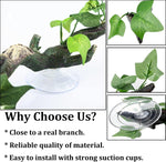 Close up of PINVNBY reptile branch suction cup attachment