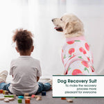 Kuoser anti-licking cat and dog onesie medical clothing close view