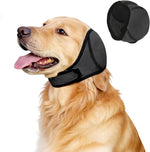 Faluckyy Dog Ear Muffs and No Shake Ear Wrap front view on a grey dog showing secure fit.