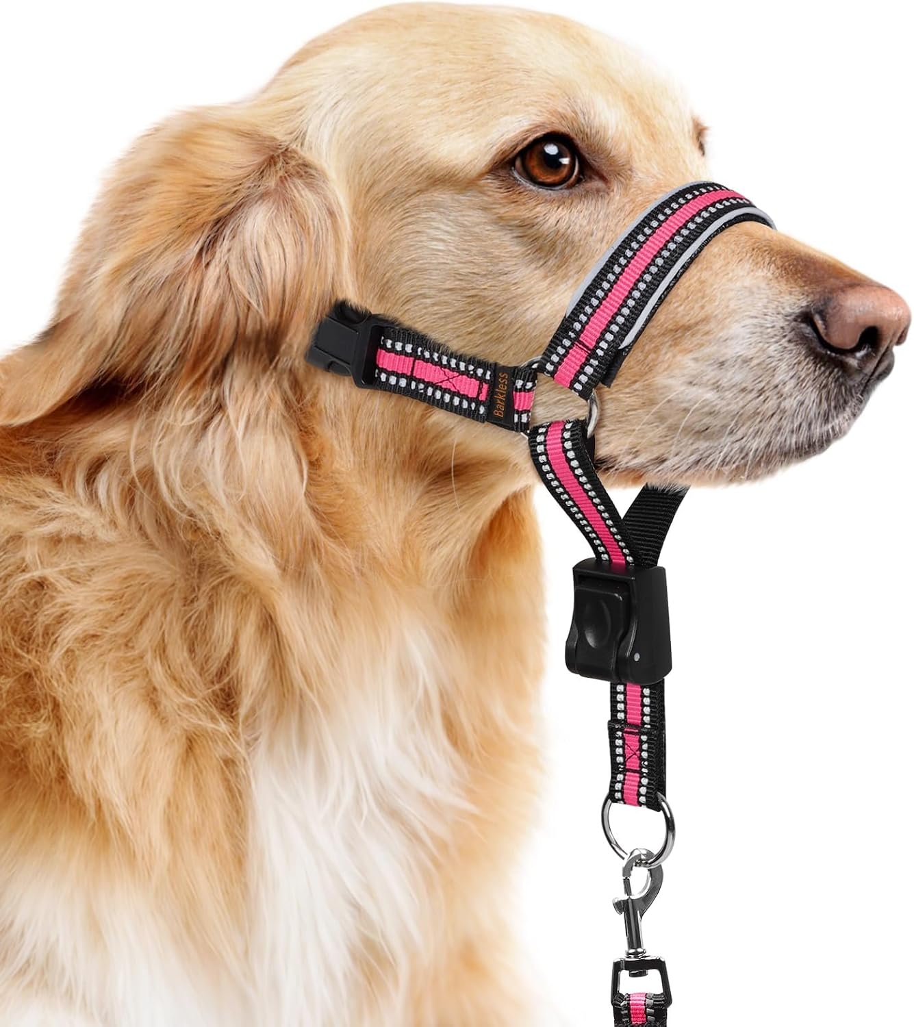 Barkless soft nylon dog head collar pink large front view on dog