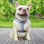 PUPTECK soft padded dog harness interior texture