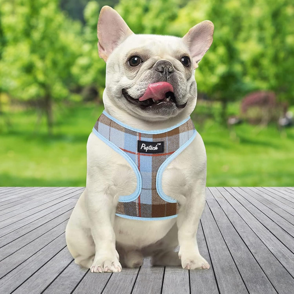 PUPTECK soft padded dog harness interior texture