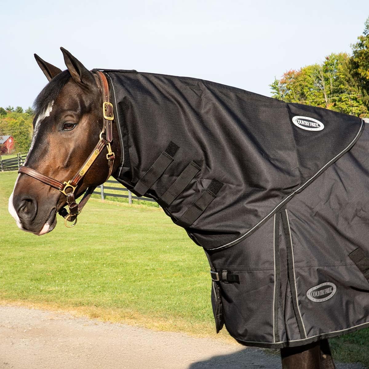 Country Pride Storm Pro 1200D Neck Cover in Small size showing waterproof turnout accessory design.