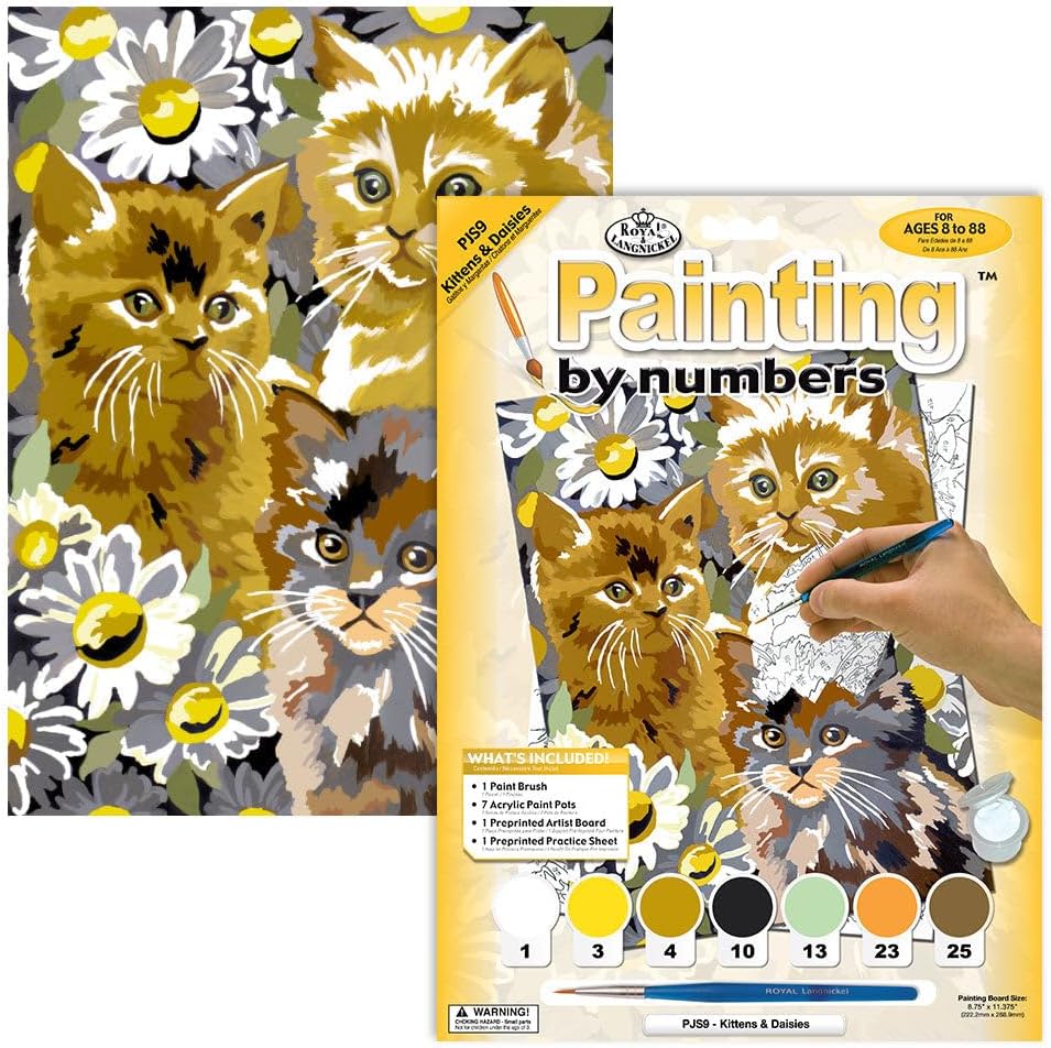 Back side of the Royal And Langnickel craft kit packaging