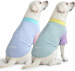 Dog playing outdoors wearing Spark Paws sunblock clothing
