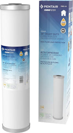 OMNIFilter Pentair PB55-20 whole house water filter front view