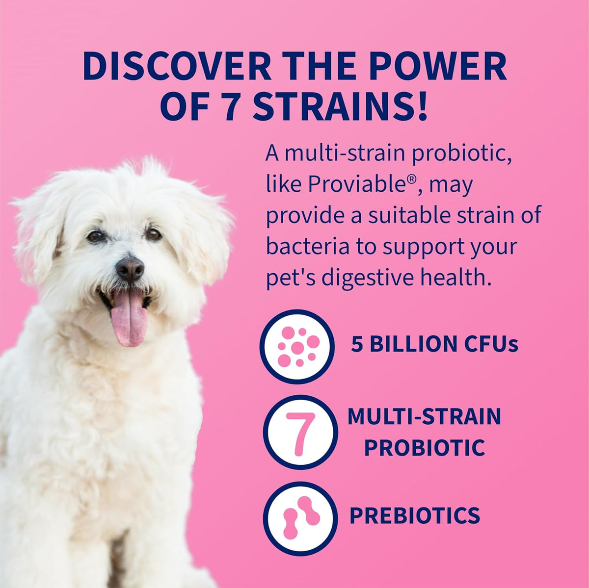 Authentic USA imported dog prebiotics and probiotics packaging details.