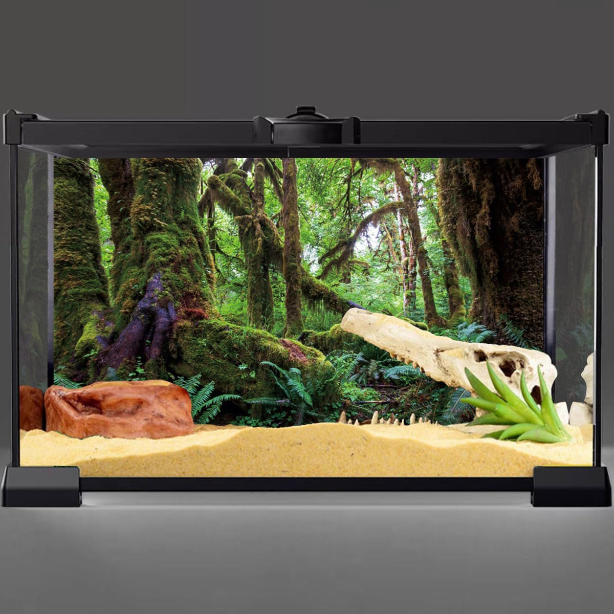 Lush green rainforest aquarium backdrop by AWERT showing high definition texture details.