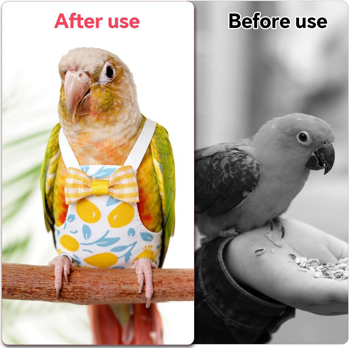 Fukaisu fruit themed pet bird flight suit laid flat to showcase the compact size.