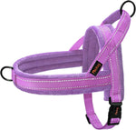 Didog Soft Flannel Padded Dog Vest Harness, No Pull/Quick Fit Reflective Dog Strap Harness, Easy for Training Walking (S:Chest 18-22", Mixed-Blue) - Image 14