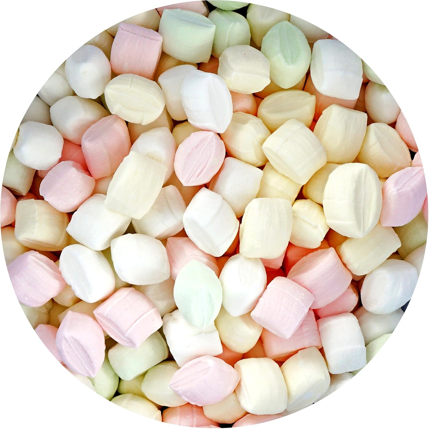 The Hampton Candy Company Assorted Party Mints 1 Pound bag front view showing colorful pastel candies.