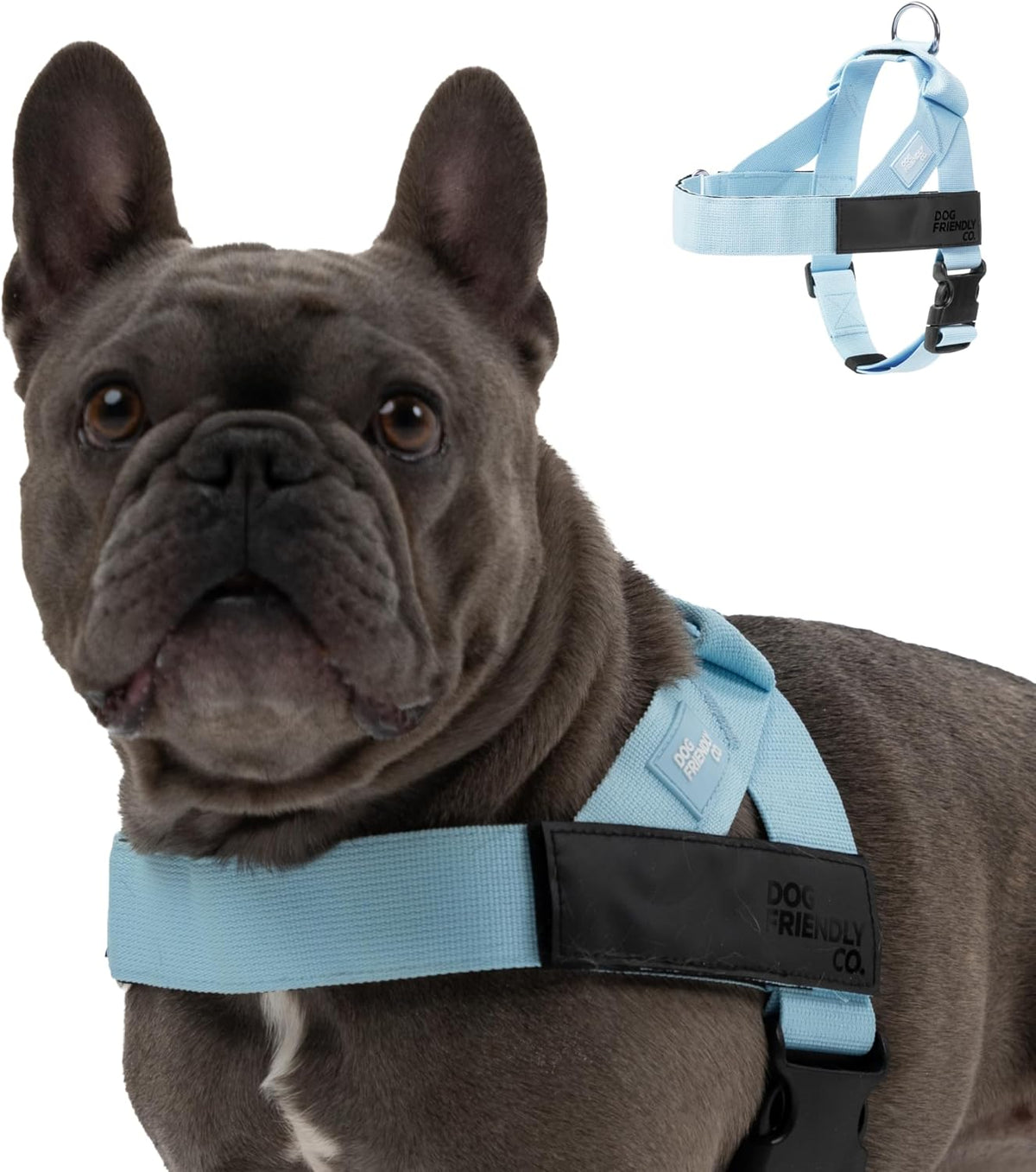 Dog Friendly Co. Dog Harness | Chafe Resistant Webbing, Adjustable Neck & Chest, and Heavy Duty D-Ring | Sturdy, Comfortable, Easy to Use | Classic Blue, Size L - Image 7