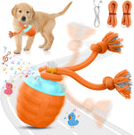 Packaging of imported Hvuatq automatic dog ball