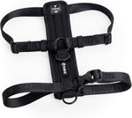 Fei and Eve Moxie harness with metal quick release buckle