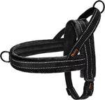 Didog Soft Flannel Padded Dog Vest Harness, No Pull/Quick Fit Reflective Dog Strap Harness, Easy for Training Walking (S:Chest 18-22", Mixed-Blue) - Image 12