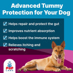 Pup Labs K9 Belly Bliss daily digestive support supplement container scoop view