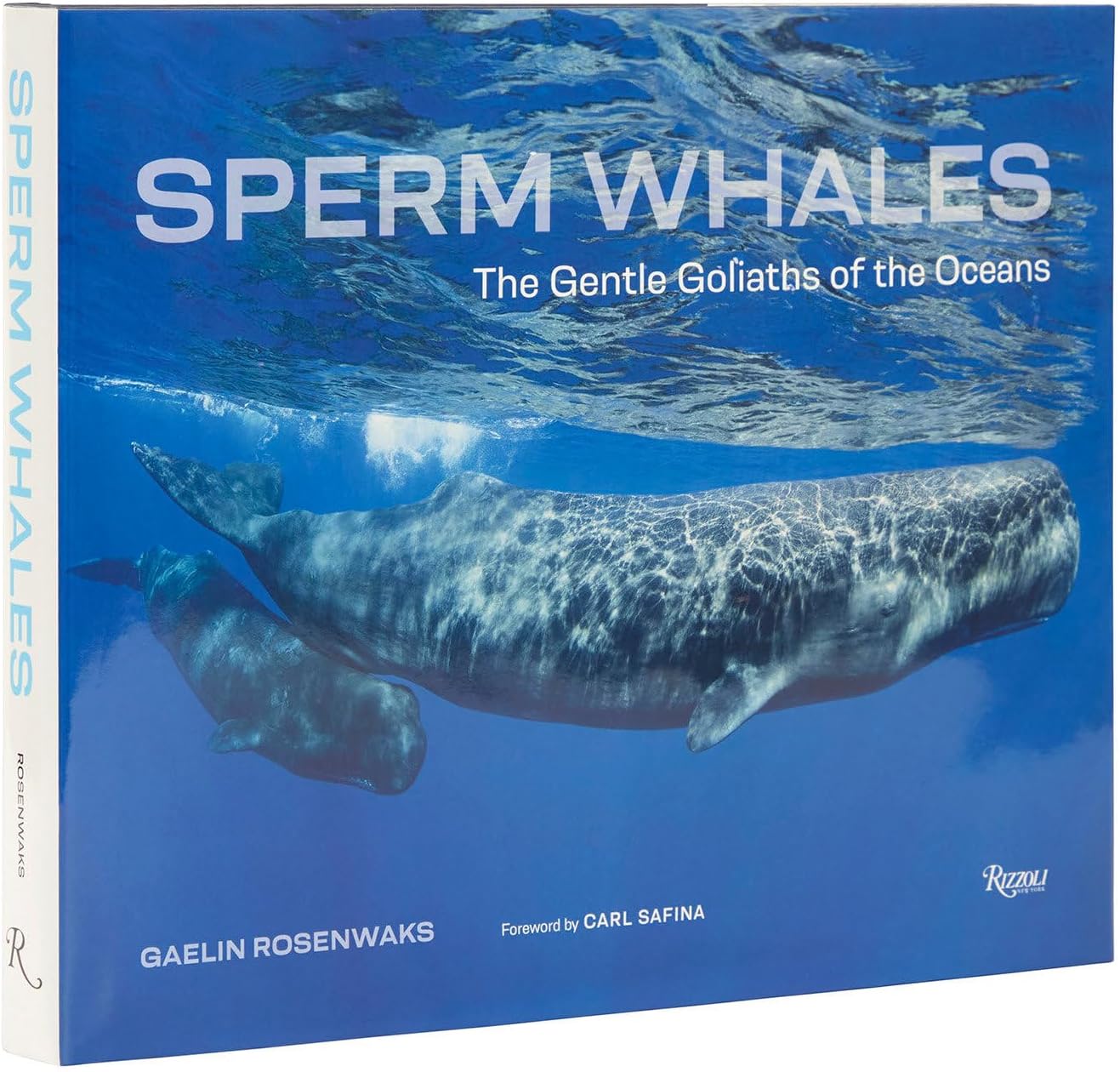 Sperm Whales: The Gentle Goliaths of the Ocean - Image 1